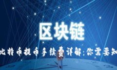 2023年ImToken比特币提币手续费详解：你需要知道的