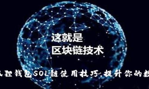 2023年十大小狐狸钱包SOL链使用技巧，提升你的数字资产管理能力