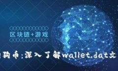 如何安全存储狗狗币：深入了解wallet.dat文件的使