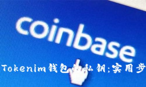 如何找回Tokenim钱包的私钥：实用步骤与技巧