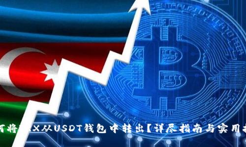 如何将TRX从USDT钱包中转出？详尽指南与实用技巧